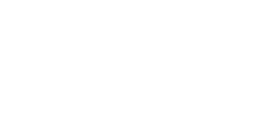 Valorhood crown and wordmark